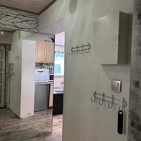 Vallikaeaeru Apartment